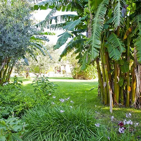 Russo Paola Apartmán Parabita