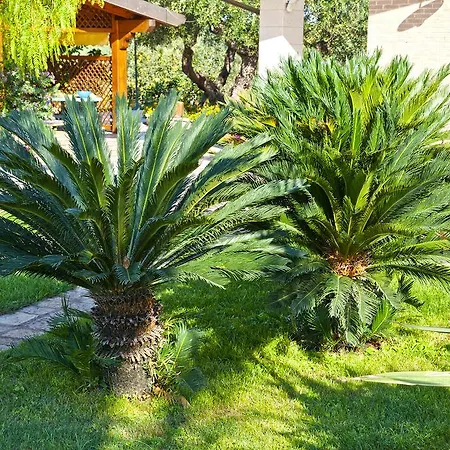 Russo Paola Apartmán